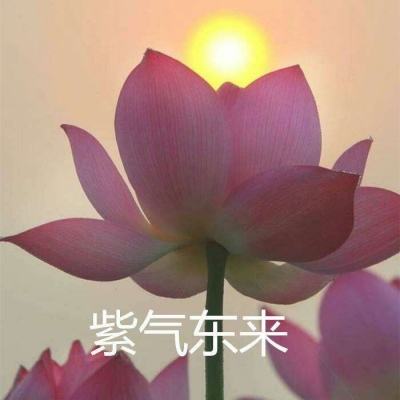 乱世群雄手游下载