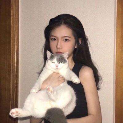 九龙朝内购破解版下载